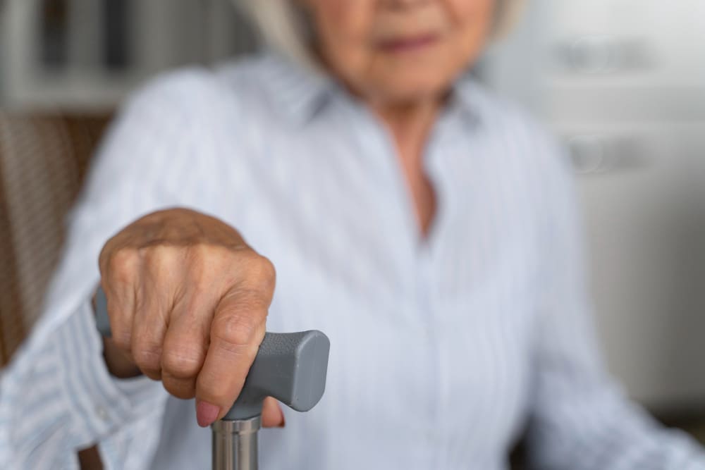 <strong>Consulta con Geriatra en Querétaro</strong> para una atención integral